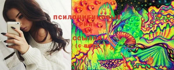 кокс Алзамай