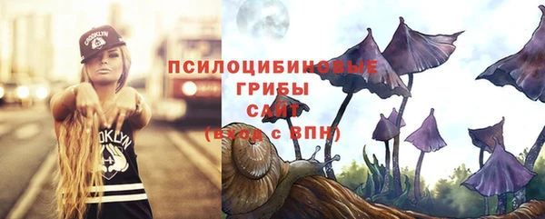 2c-b Алексин