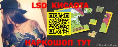 стафф Заводоуковск