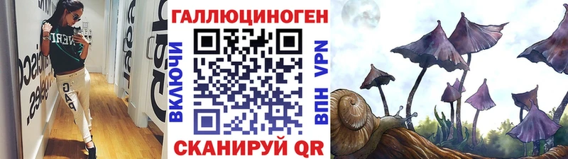 Псилоцибиновые грибы GOLDEN TEACHER  Люберцы 