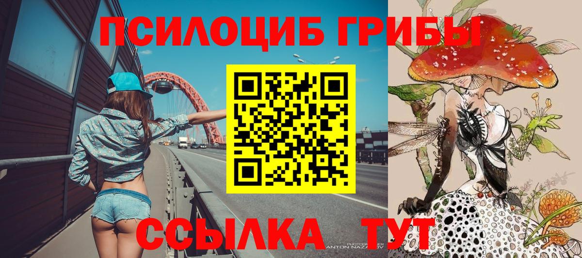 Люберцы  Галлюциногенные грибы прущие грибы  купить закладку  Вход с VPN 